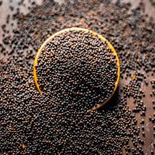 Mustard Seed 100 gm